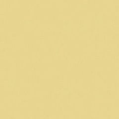 Керамогранит "ESTIMA" желтый матовый 600х600х10мм (RW 151, 1 сорт)