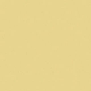 Керамогранит "ESTIMA" желтый матовый 600х600х10мм (RW 151, 1 сорт)